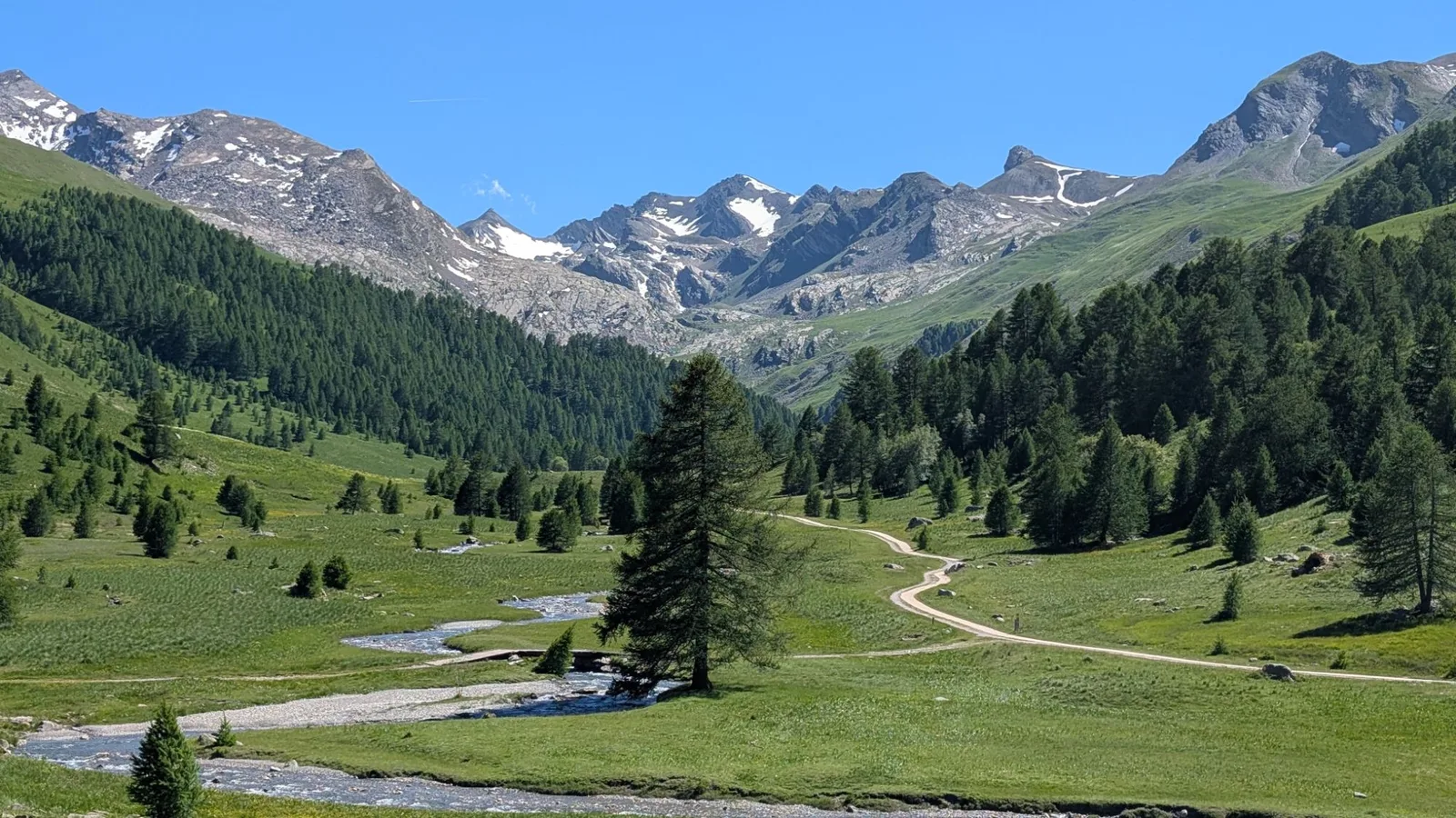 Le vallon en été : torrent, mélèzes et piste qui serpente vers les sommets